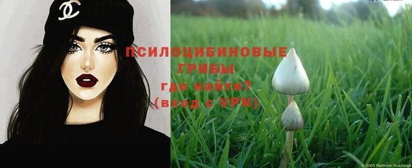 ПСИЛОЦИБИНОВЫЕ ГРИБЫ Елабуга