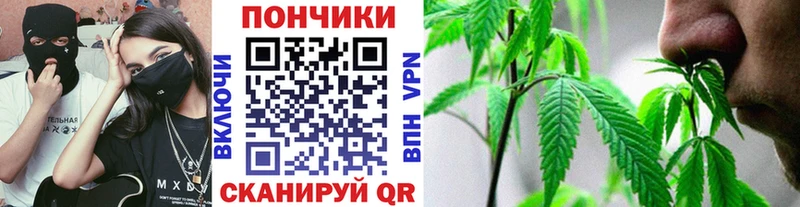 Шишки марихуана семена  сколько стоит  Подольск 